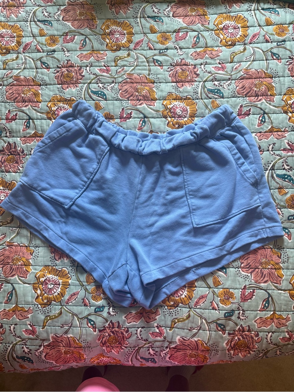 Aerie Women’s Blue Shorts Size XL